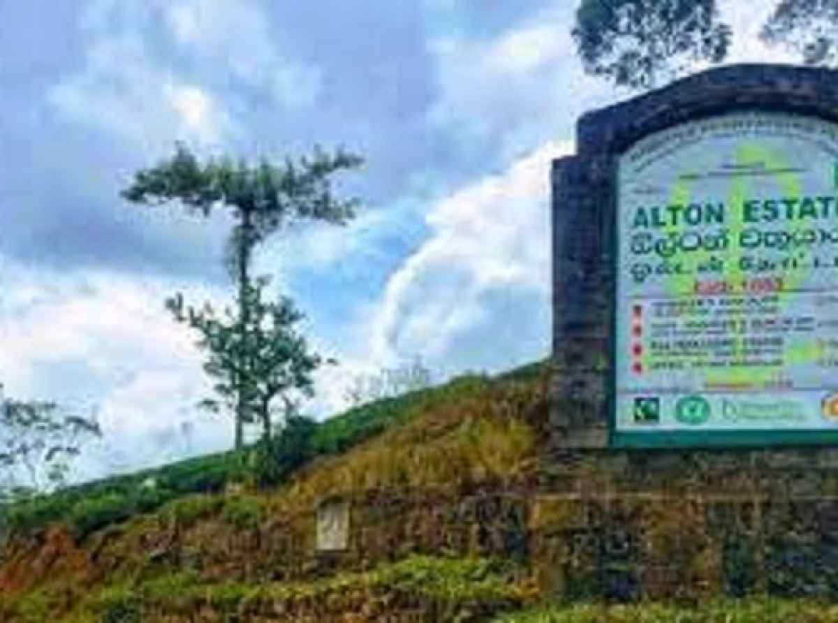 தொழிலின்றி நிர்க்கதியாகியுள்ள ஓல்ட்டன் தோட்ட மக்களின் கண்ணீர் கதை!